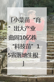小菜苗“育”出大产业 曲周10亿株“科技苗”15省落地生根