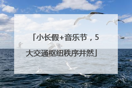 小长假+音乐节，5大交通枢纽秩序井然