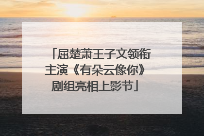 屈楚萧王子文领衔主演《有朵云像你》剧组亮相上影节