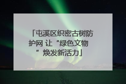 屯溪区织密古树防护网 让“绿色文物”焕发新活力