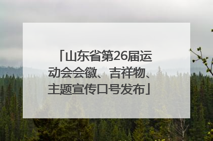山东省第26届运动会会徽、吉祥物、主题宣传口号发布