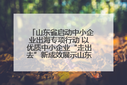山东省启动中小企业出海专项行动 以优质中小企业“走出去”新成效展示山东产业发展新形象