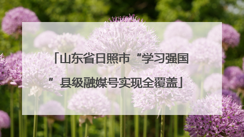 山东省日照市“学习强国”县级融媒号实现全覆盖