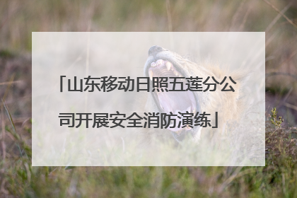 山东移动日照五莲分公司开展安全消防演练