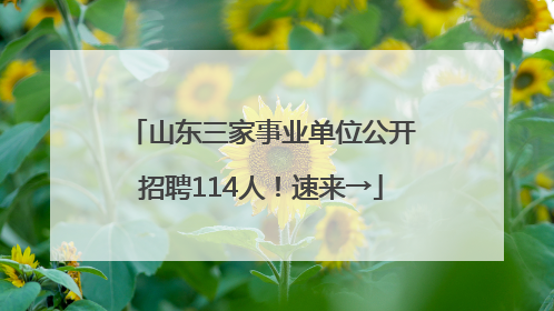 山东三家事业单位公开招聘114人！速来→