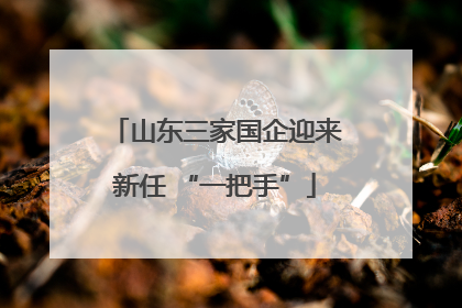 山东三家国企迎来新任 “一把手”
