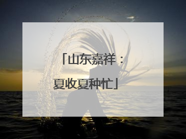 山东嘉祥：夏收夏种忙
