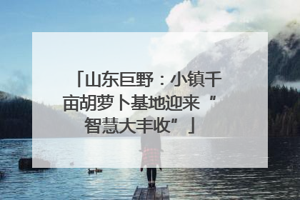 山东巨野：小镇千亩胡萝卜基地迎来“智慧大丰收”