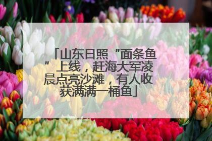 山东日照“面条鱼”上线，赶海大军凌晨点亮沙滩，有人收获满满一桶鱼