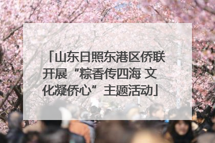 山东日照东港区侨联开展“粽香传四海 文化凝侨心”主题活动