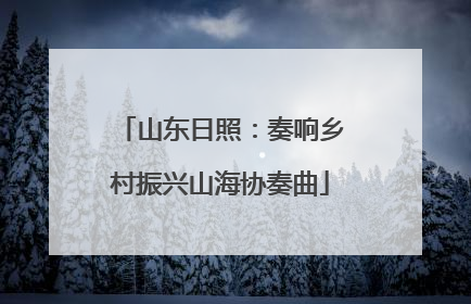 山东日照：奏响乡村振兴山海协奏曲