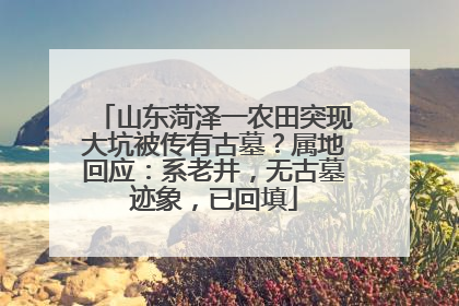 山东菏泽一农田突现大坑被传有古墓？属地回应：系老井，无古墓迹象，已回填