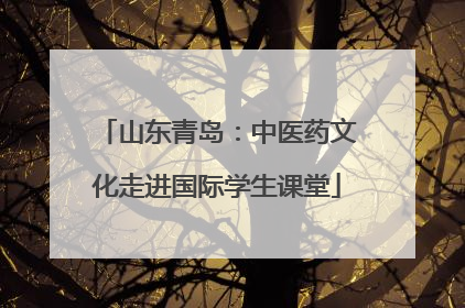 山东青岛：中医药文化走进国际学生课堂