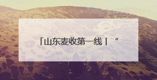 山东麦收第一线丨“良种田”里产好粮