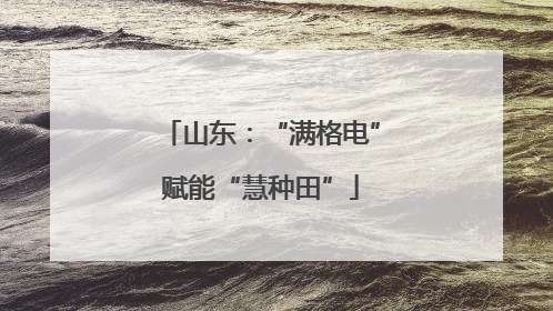 山东：“满格电”赋能“慧种田”