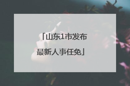 山东1市发布最新人事任免