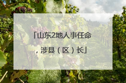 山东2地人事任命，涉县（区）长