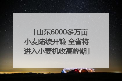 山东6000多万亩小麦陆续开镰 全省将进入小麦机收高峰期