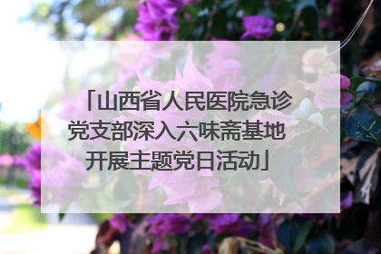 山西省人民医院急诊党支部深入六味斋基地开展主题党日活动