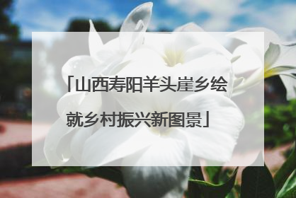 山西寿阳羊头崖乡绘就乡村振兴新图景
