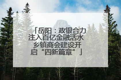 岳阳：政银合力注入百亿金融活水 乡镇商会建设开启“四新篇章”