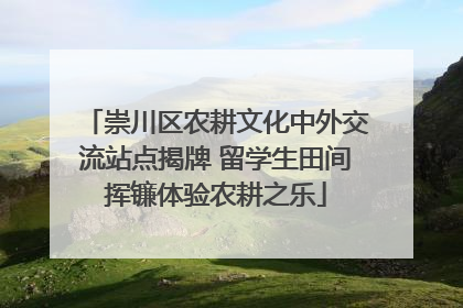 崇川区农耕文化中外交流站点揭牌 留学生田间挥镰体验农耕之乐