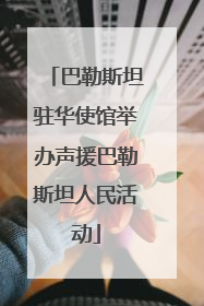 巴勒斯坦驻华使馆举办声援巴勒斯坦人民活动