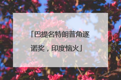 巴提名特朗普角逐诺奖，印度恼火