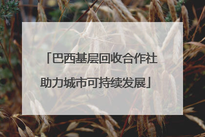 巴西基层回收合作社助力城市可持续发展