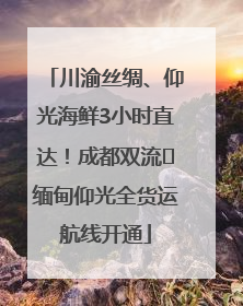 川渝丝绸、仰光海鲜3小时直达！成都双流⇌缅甸仰光全货运航线开通
