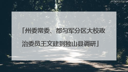 州委常委、都匀军分区大校政治委员王文建到独山县调研