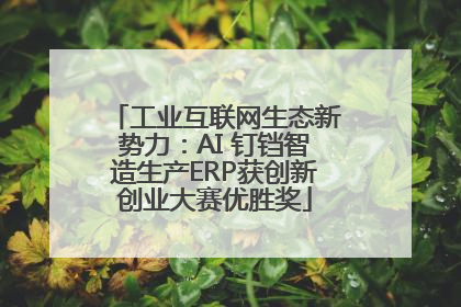 工业互联网生态新势力：AI 钉铛智造生产ERP获创新创业大赛优胜奖