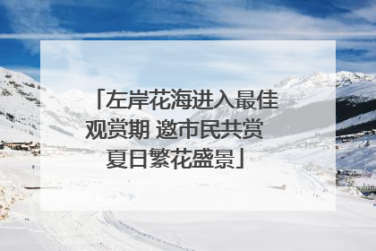 左岸花海进入最佳观赏期 邀市民共赏夏日繁花盛景