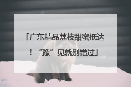 广东精品荔枝甜蜜抵达！“豫”见就别错过