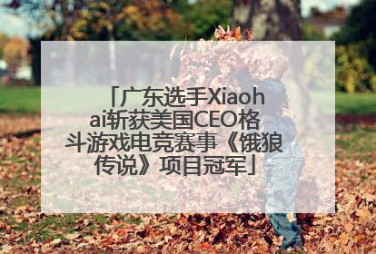 广东选手Xiaohai斩获美国CEO格斗游戏电竞赛事《饿狼传说》项目冠军