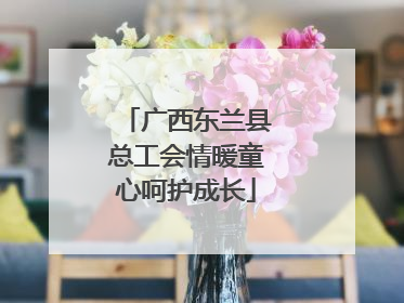 广西东兰县总工会情暖童心呵护成长