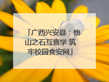 广西兴安县：他山之石互查学 筑牢校园食安网