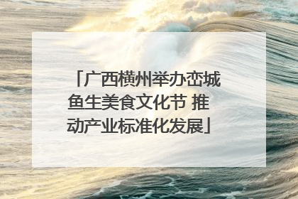 广西横州举办峦城鱼生美食文化节 推动产业标准化发展