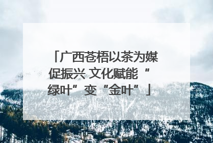 广西苍梧以茶为媒促振兴 文化赋能“绿叶”变“金叶”