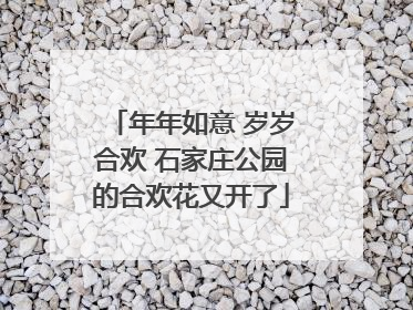 年年如意 岁岁合欢 石家庄公园的合欢花又开了