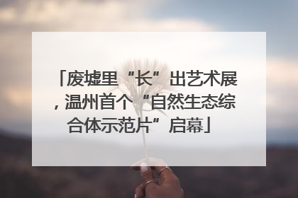 废墟里“长”出艺术展，温州首个“自然生态综合体示范片”启幕