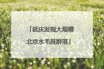 延庆发现大规模北京水毛茛群落