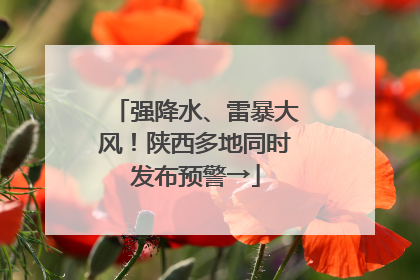 强降水、雷暴大风！陕西多地同时发布预警→