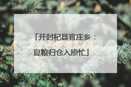 开封杞县官庄乡：夏粮归仓入廪忙