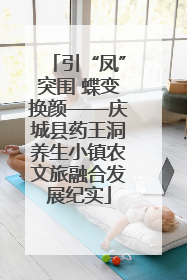 引“凤”突围 蝶变换颜——庆城县药王洞养生小镇农文旅融合发展纪实