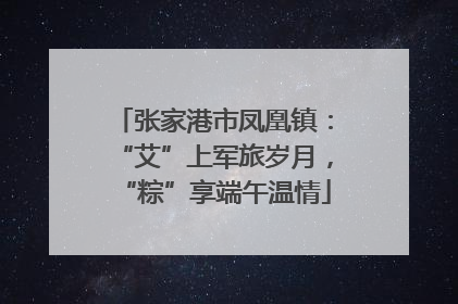 张家港市凤凰镇：“艾”上军旅岁月，“粽”享端午温情