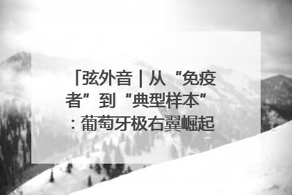 弦外音｜从“免疫者”到“典型样本”：葡萄牙极右翼崛起背后的欧洲困局