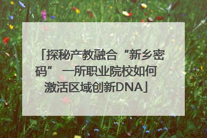 探秘产教融合“新乡密码” 一所职业院校如何激活区域创新DNA