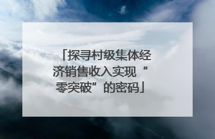 探寻村级集体经济销售收入实现“零突破”的密码