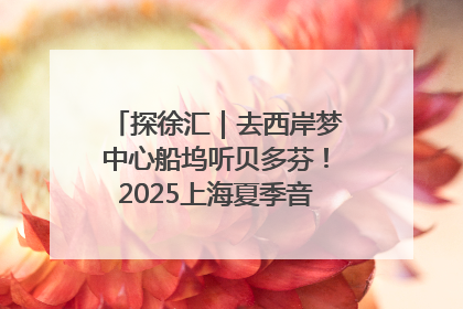 探徐汇｜去西岸梦中心船坞听贝多芬！2025上海夏季音乐节公布节目阵容